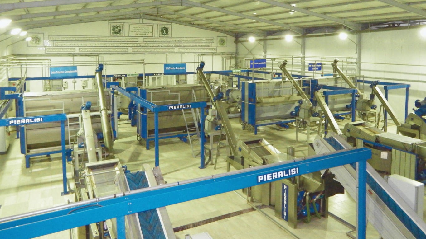 Al-Mishkat premium extra virgin 
olive oil bottle